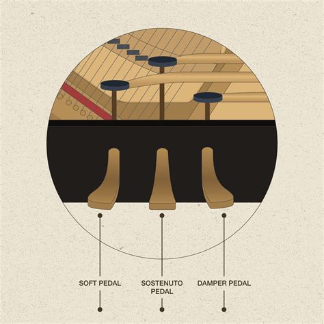 piano pedals explained|Piano pedals .